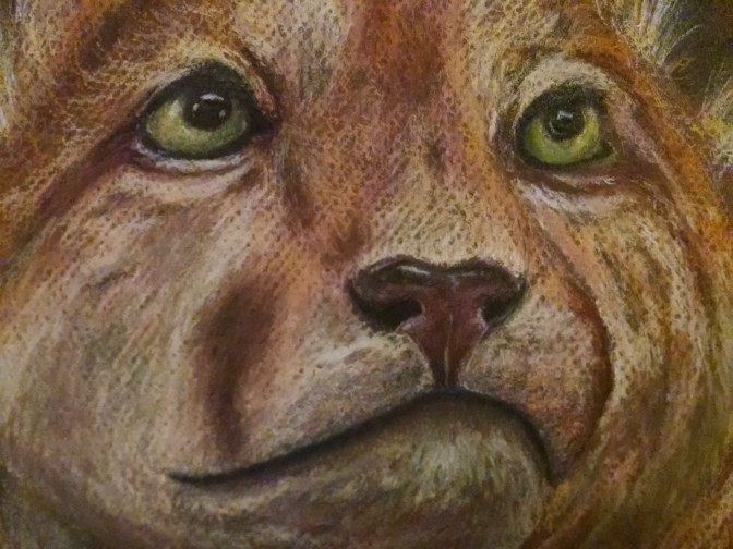 Detail of the entire face.
